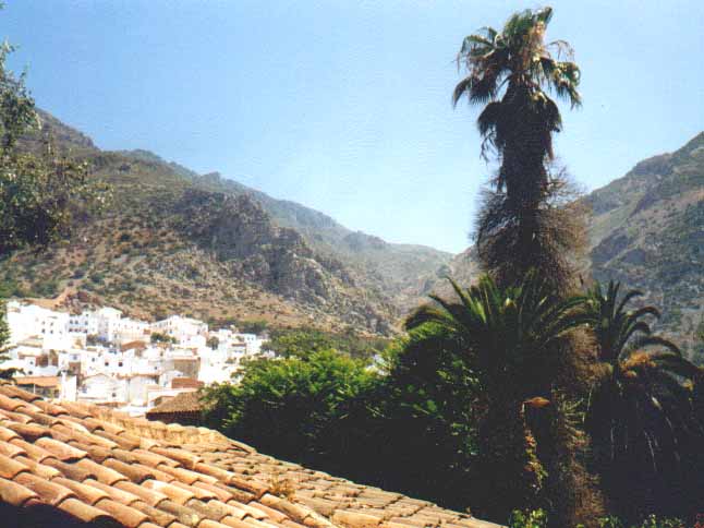 chetchouan