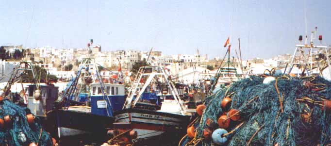 haven in tanger